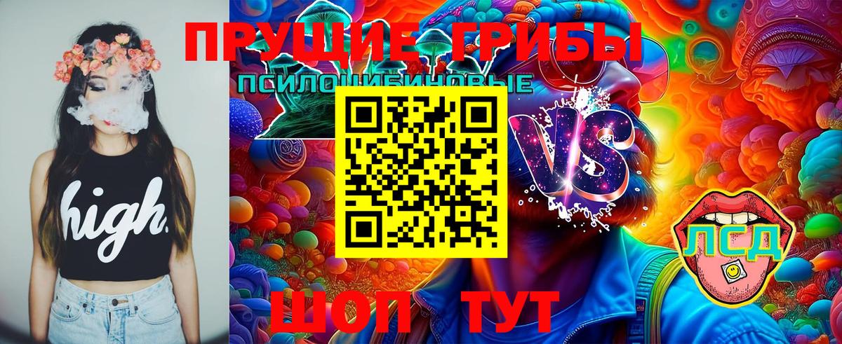 Наро-Фоминск  Псилоцибиновые грибы Psilocybine cubensis  Вход с VPN 